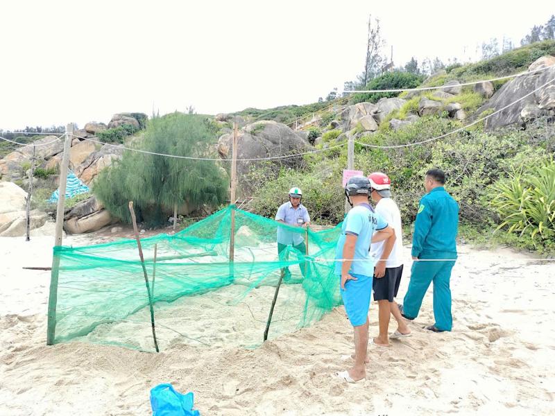 Nơi san hô nảy chồi và rùa biển tái xuất- Ảnh 4. Nơi san hô nảy chồi và rùa biển tái xuất- Ảnh 4.