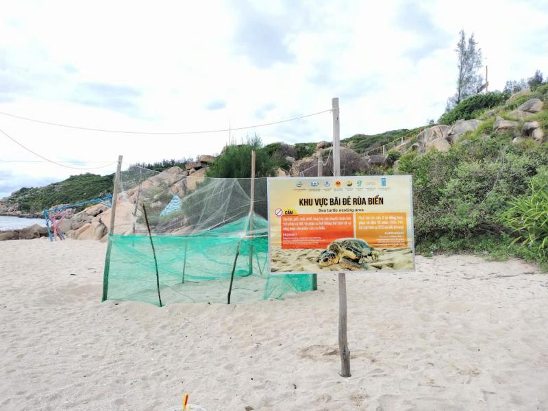 Nơi san hô nảy chồi và rùa biển tái xuất- Ảnh 5. Nơi san hô nảy chồi và rùa biển tái xuất- Ảnh 5.