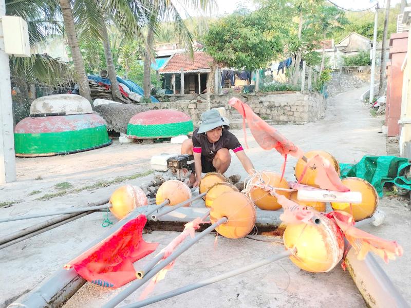 Nơi san hô nảy chồi và rùa biển tái xuất- Ảnh 6. Nơi san hô nảy chồi và rùa biển tái xuất- Ảnh 6.
