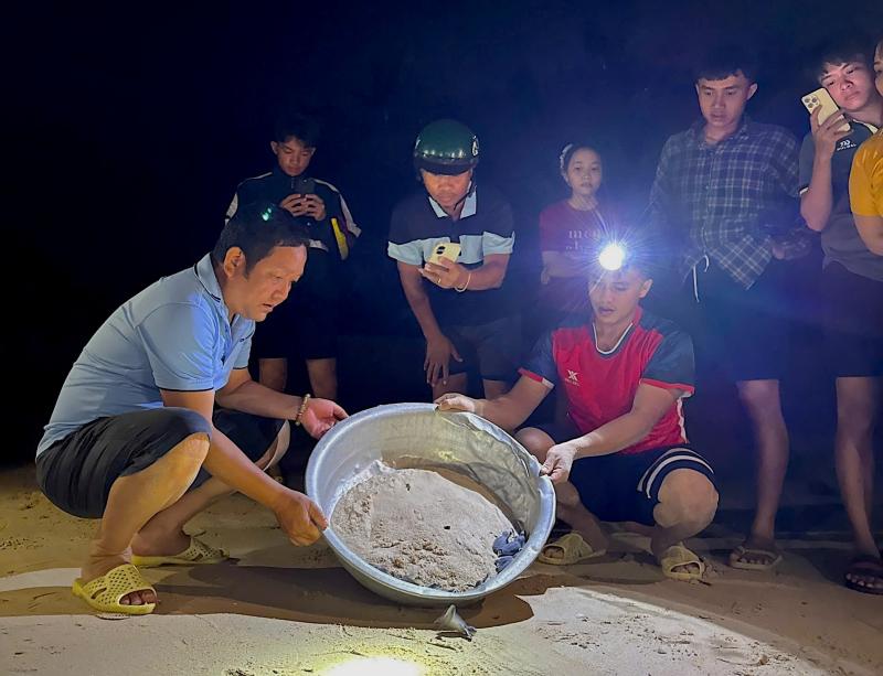 Nơi san hô nảy chồi và rùa biển tái xuất- Ảnh 7. Nơi san hô nảy chồi và rùa biển tái xuất- Ảnh 7.