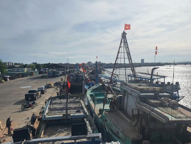 TP.HCM tuyệt đối không để tàu cá không đủ điều kiện hoạt động
- Ảnh 1.