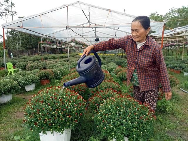 Hoa thơm nở trên đất khó ở Quảng Ngãi- Ảnh 3. Hoa thơm nở trên đất khó ở Quảng Ngãi- Ảnh 3.