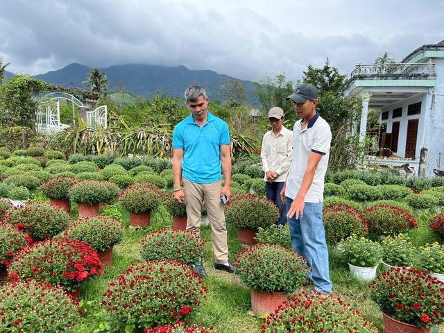 Hoa thơm nở trên đất khó ở Quảng Ngãi- Ảnh 2. Hoa thơm nở trên đất khó ở Quảng Ngãi- Ảnh 2.