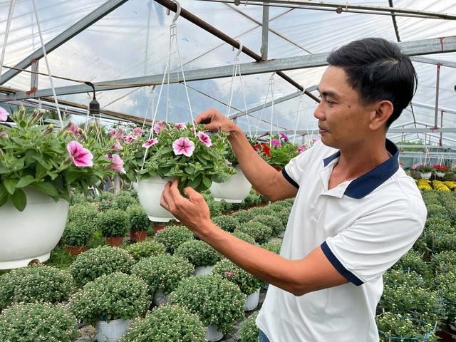 Hoa thơm nở trên đất khó ở Quảng Ngãi- Ảnh 1. Hoa thơm nở trên đất khó ở Quảng Ngãi- Ảnh 1.