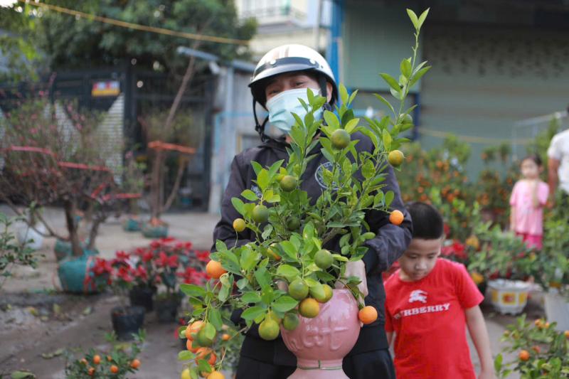 Chị Yến tặng 500 chậu hoa tết cho người khó khăn nhân dịp tết yêu thương 2026 - Ảnh 5.