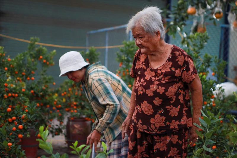Chị Yến tặng 500 chậu hoa tết cho người khó khăn nhân dịp tết yêu thương 2026 - Ảnh 7.