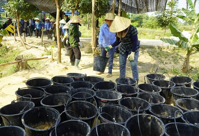 Tìm người từng ở bên kia chiến tuyến: 'Chúng ta sẽ chưa dừng lại!'- Ảnh 3. Tìm người từng ở bên kia chiến tuyến: 'Chúng ta sẽ chưa dừng lại!'- Ảnh 3.