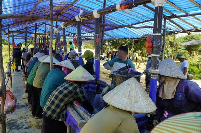 Tìm người từng ở bên kia chiến tuyến: 'Chúng ta sẽ chưa dừng lại!'- Ảnh 5. Tìm người từng ở bên kia chiến tuyến: 'Chúng ta sẽ chưa dừng lại!'- Ảnh 5.
