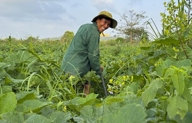 Mưu sinh trên sông Trà: Nương phù sa mà sống, theo con nước mà đi- Ảnh 5. Mưu sinh trên sông Trà: Nương phù sa mà sống, theo con nước mà đi- Ảnh 5.