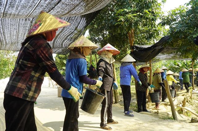 Tìm người từng ở bên kia chiến tuyến: 'Chúng ta sẽ chưa dừng lại!'- Ảnh 10. Tìm người từng ở bên kia chiến tuyến: 'Chúng ta sẽ chưa dừng lại!'- Ảnh 10.