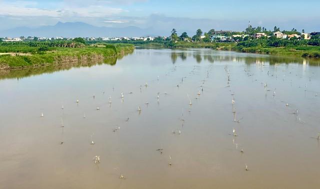 Nghề đặt ống tre bắt cá bống sông Trà Khúc - hương vị quê hương Quảng Ngãi - Ảnh 7. Nghề đặt ống tre bắt cá bống sông Trà Khúc - hương vị quê hương Quảng Ngãi - Ảnh 7.