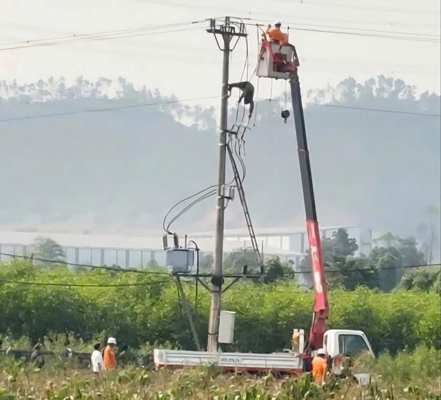 Nam sinh lớp 8 tử vong trên cột điện- Ảnh 1. Nam sinh lớp 8 tử vong trên cột điện- Ảnh 1.