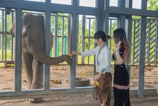 Chàng trai Việt - Lào 'thắp lửa' du lịch Buôn Đôn- Ảnh 2. Chàng trai Việt - Lào 'thắp lửa' du lịch Buôn Đôn- Ảnh 2.