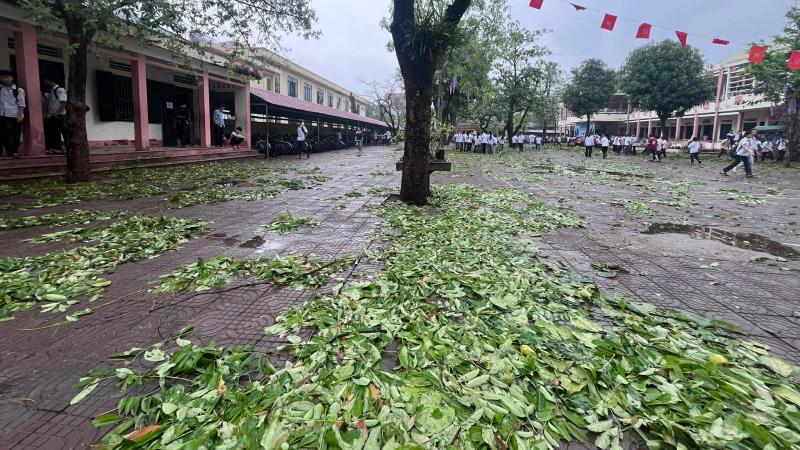 Thanh Hóa: Mưa đá bất thường nhiều nơi gây hư hỏng tài sản- Ảnh 2. Thanh Hóa: Mưa đá bất thường nhiều nơi gây hư hỏng tài sản- Ảnh 2.