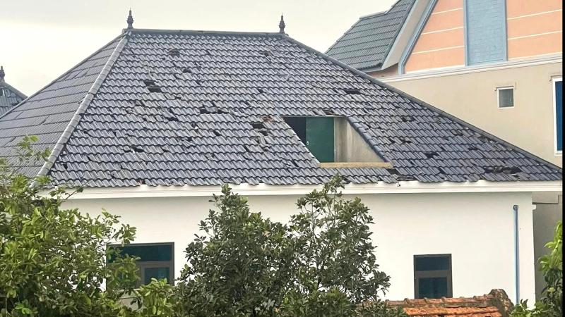 Thanh Hóa: Mưa đá bất thường nhiều nơi gây hư hỏng tài sản- Ảnh 6. Thanh Hóa: Mưa đá bất thường nhiều nơi gây hư hỏng tài sản- Ảnh 6.
