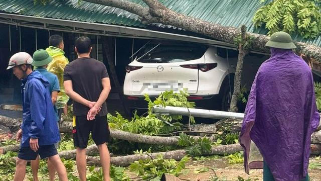 Mưa đá và gió lốc xảy ra nhiều nơi ở Thanh Hóa- Ảnh 2. Mưa đá và gió lốc xảy ra nhiều nơi ở Thanh Hóa- Ảnh 2.