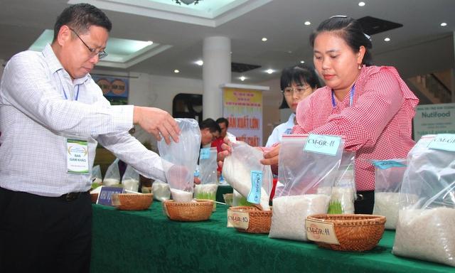 Lần đầu tiên tổ chức cuộc thi gạo ngon Đồng bằng sông Cửu Long - Ảnh 2. Lần đầu tiên tổ chức cuộc thi gạo ngon Đồng bằng sông Cửu Long - Ảnh 2.