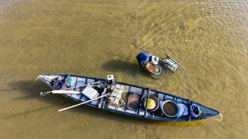 Mưu sinh trên sông Trà: Săn “lộc trời” dưới cát - Ảnh 1. Mưu sinh trên sông Trà: Săn “lộc trời” dưới cát - Ảnh 1.