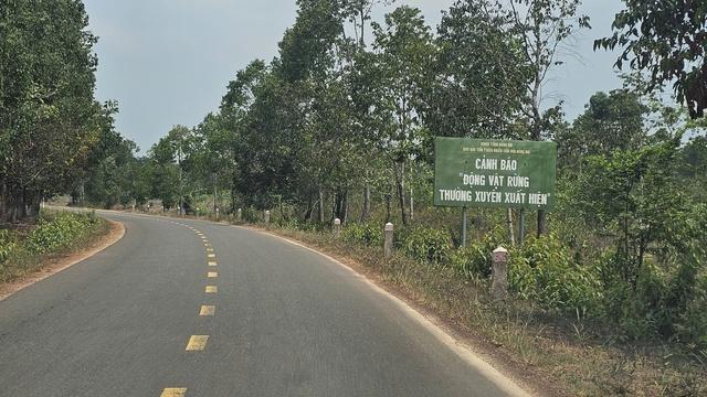 Đường kết nối Bình Phước cũ với Đồng Nai cũ sẽ có 8 xe - Ảnh 2.