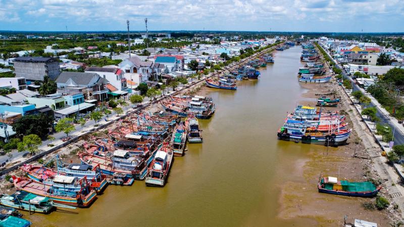 Nhịp sống ở cảng cá Trần Đề: Người bốc xếp, vá lưới tất bật theo mùa cá - Ảnh 1.