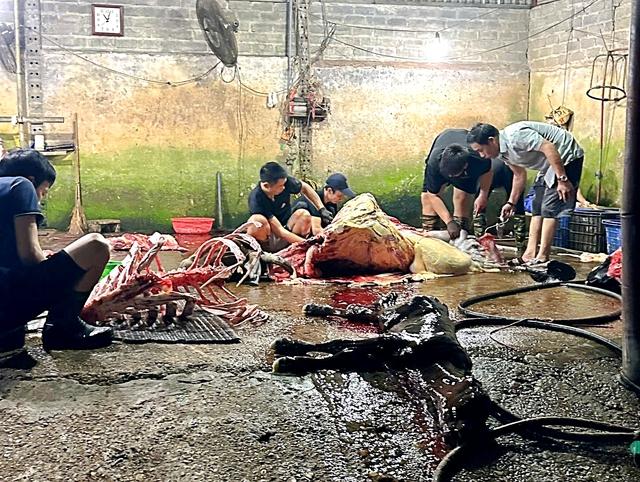 Thịt bẩn tung hoành qua lỗ hổng kiểm dịch: Thâm nhập lò mổ 'chui'- Ảnh 1. Thịt bẩn tung hoành qua lỗ hổng kiểm dịch: Thâm nhập lò mổ 'chui'- Ảnh 1.