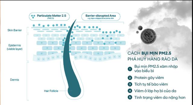 Làm sạch bụi mịn sau khi di chuyển nhiều ngày nắng nóng giúp da khỏe, sạch sâu - Ảnh 2. Làm sạch bụi mịn sau khi di chuyển nhiều ngày nắng nóng giúp da khỏe, sạch sâu - Ảnh 2.
