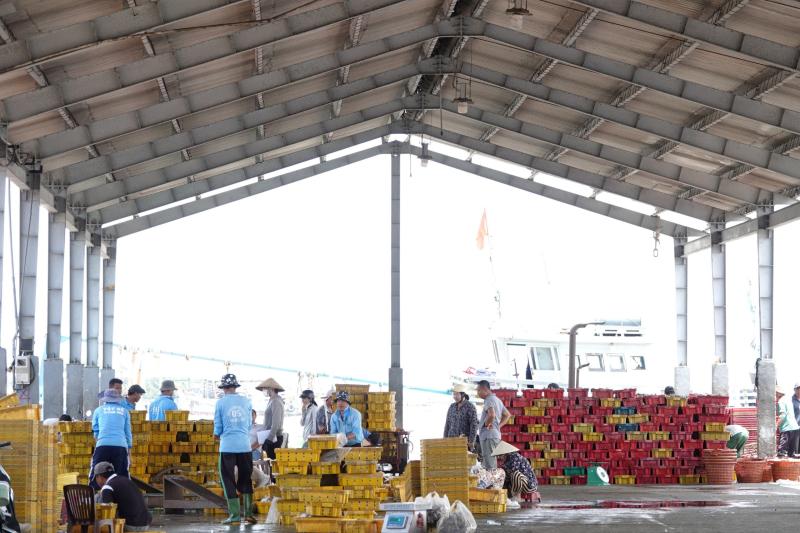 Nhịp sống ở cảng cá Trần Đề: Người bốc xếp, vá lưới tất bật theo mùa cá - Ảnh 2.