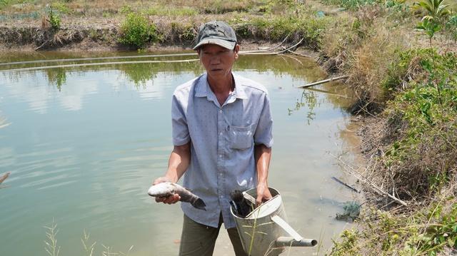Cá chết hàng loạt khi thi công Cảng hàng không Cà Mau: bồi thường, không hỗ trợ - Ảnh 1.