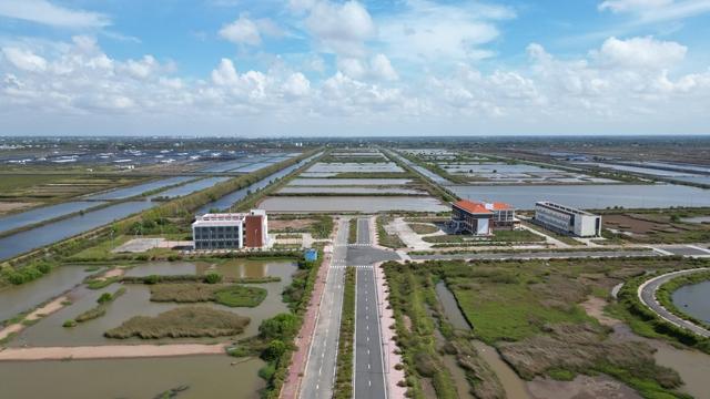 Khu tôm công nghệ cao 338 tỉ, báo cáo gì với Bí thư Tỉnh ủy Cà Mau    - Ảnh 1.