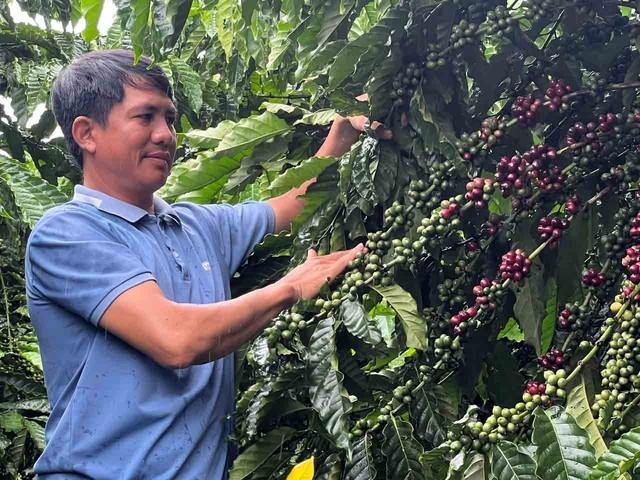 Một phần của ký ức- Ảnh 1.