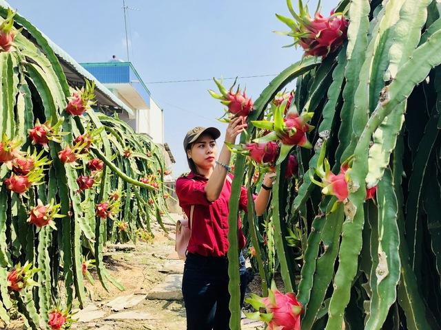 Mở rộng cơ hội tại Ấn Độ: Hai nền kinh tế bổ trợ cho nhau- Ảnh 2. Mở rộng cơ hội tại Ấn Độ: Hai nền kinh tế bổ trợ cho nhau- Ảnh 2.