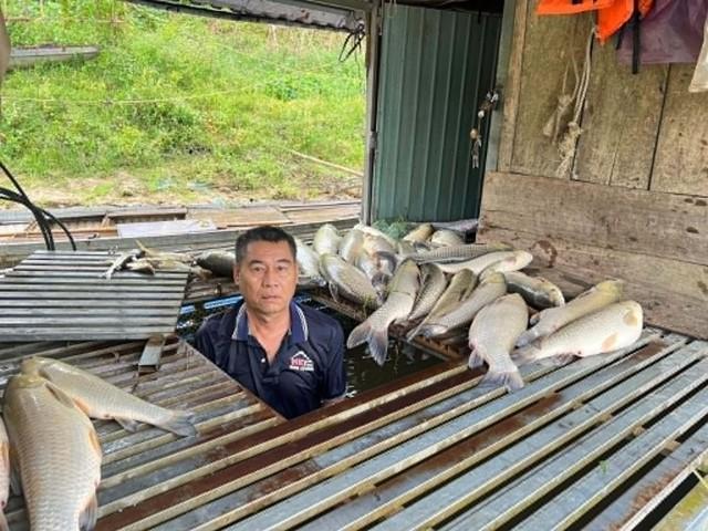 Vụ sét đánh vỡ bồn chứa mật: Lãnh đạo nhà máy đường nói gì?- Ảnh 3. Vụ sét đánh vỡ bồn chứa mật: Lãnh đạo nhà máy đường nói gì?- Ảnh 3.