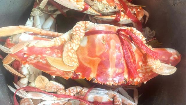 Ghẹ đỏ ngon như thế nào mà giá cả triệu đồng mỗi kilogram- Ảnh 1. Ghẹ đỏ ngon như thế nào mà giá cả triệu đồng mỗi kilogram- Ảnh 1.