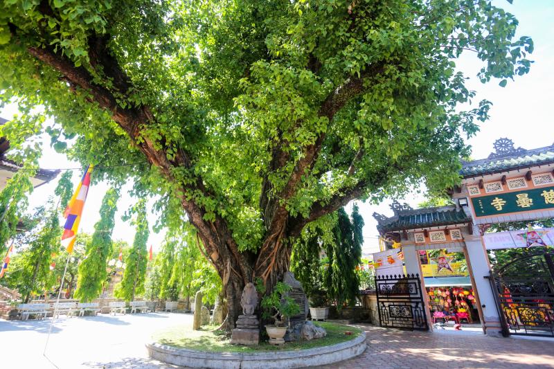 Ghé thăm những ngôi cổ tự trăm năm tuổi ở Huế dịp đại lễ Phật đản- Ảnh 7. Ghé thăm những ngôi cổ tự trăm năm tuổi ở Huế dịp đại lễ Phật đản- Ảnh 7.