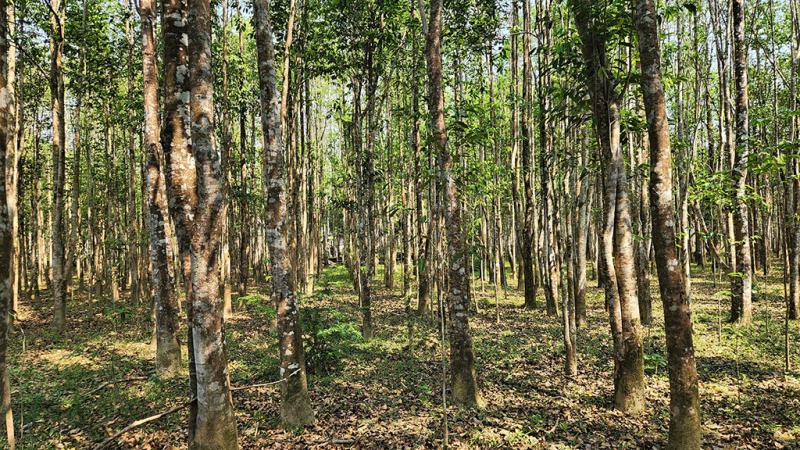Dấn thân vào “cửa tử” - Ảnh 1.