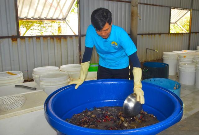 Cú lật kèo của ba khía lột: Từ 'hàng dạt' thành riêu OCOP 4 sao - Ảnh 1.