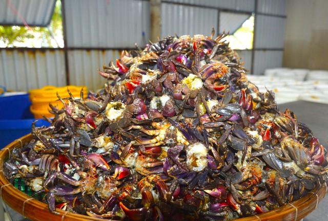 Cú lật kèo của ba khía lột: Từ 'hàng dạt' thành riêu OCOP 4 sao - Ảnh 3.