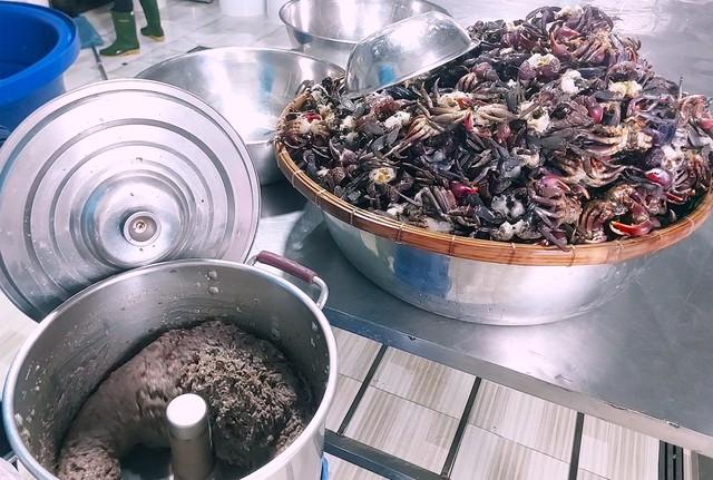 Cú lật kèo của ba khía lột: Từ 'hàng dạt' thành riêu OCOP 4 sao - Ảnh 4.