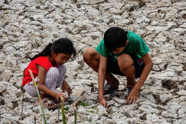 Vì sao El Nino xuất hiện sớm?- Ảnh 1. Vì sao El Nino xuất hiện sớm?- Ảnh 1.