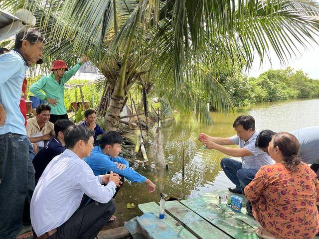 Làm giàu từ nuôi sò huyết dưới tán rừng ở An Giang- Ảnh 5.
