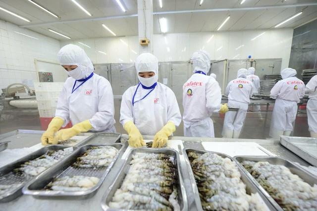 Xuất khẩu thủy sản có thể đạt kim ngạch 12 tỉ USD trong năm nay  - Ảnh 1.
