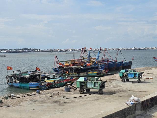 TP.HCM: Dùng cả ngàn khối vỏ sò, ốc san lấp trái phép sông Cửa Lấp - Ảnh 7.