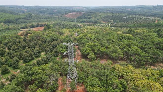 Đồng Nai: Trụ điện 110kV không có đai ốc ngã đổ gây bất an- Ảnh 13. Đồng Nai: Trụ điện 110kV không có đai ốc ngã đổ gây bất an- Ảnh 13.