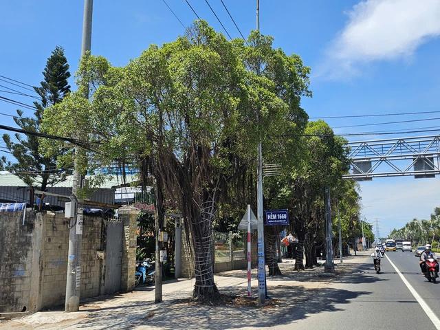 Khi nào cưỡng chế, thu hồi khu đất công mua bán giấy tay thành quán cà phê?- Ảnh 1. Khi nào cưỡng chế, thu hồi khu đất công mua bán giấy tay thành quán cà phê?- Ảnh 1.