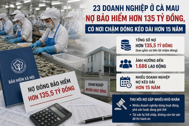  Cà Mau: 23 doanh nghiệp nợ bảo hiểm hơn 135,5 tỉ, có nơi kéo dài 15 năm    - Ảnh 1.