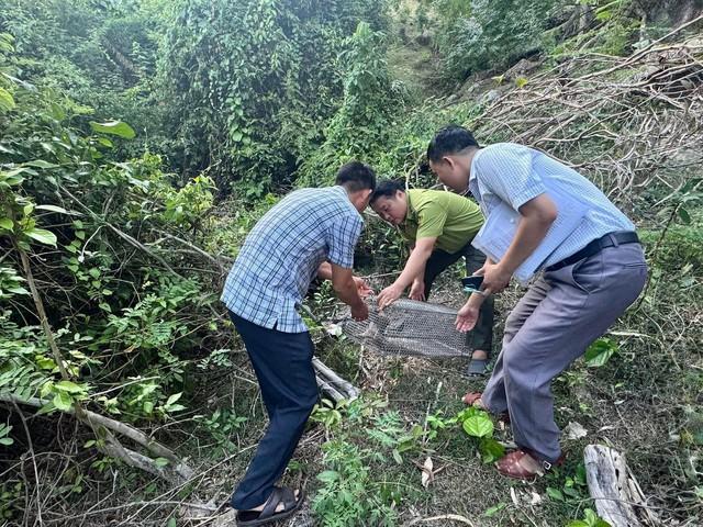 Đi làm đồng, giật mình phát hiện động vật quý hiếm nên báo công an- Ảnh 2. Đi làm đồng, giật mình phát hiện động vật quý hiếm nên báo công an- Ảnh 2.