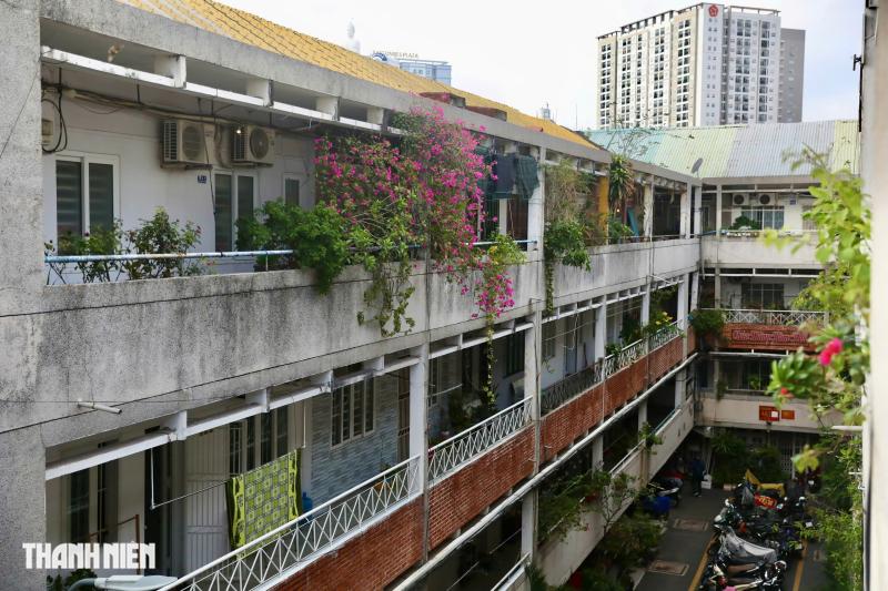 TP.HCM trao tặng nhà mới cho nhà nghiên cứu Nguyễn Đình Tư ở tuổi 106- Ảnh 11.