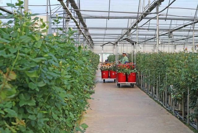 Lâm Đồng điều chỉnh quy hoạch thời kỳ 2021 - 2030, tầm nhìn 2050 có gì mới?- Ảnh 4.