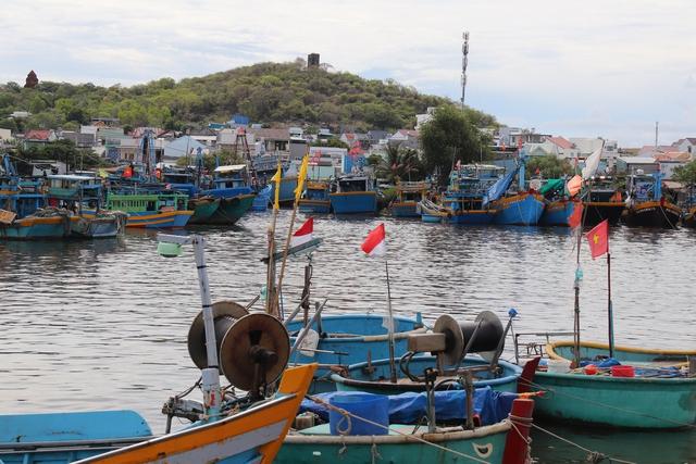 Lâm Đồng mở cao điểm siết IUU, chặn tàu cá vi phạm ngay từ trong bờ- Ảnh 2.