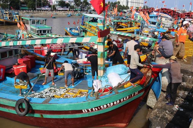 Lâm Đồng mở cao điểm siết IUU, chặn tàu cá vi phạm ngay từ trong bờ- Ảnh 1.